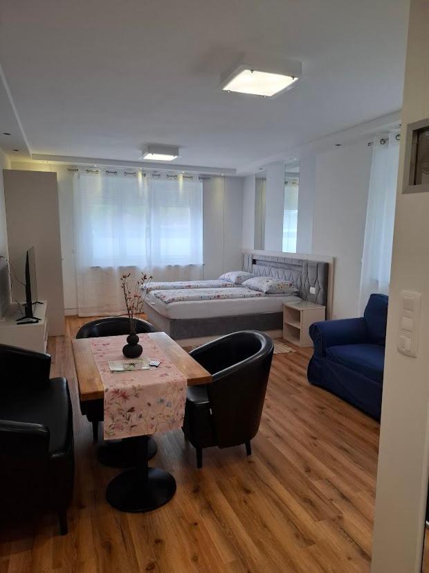 Vila Ema Apartments And Rooms Λιουμπλιάνα Εξωτερικό φωτογραφία