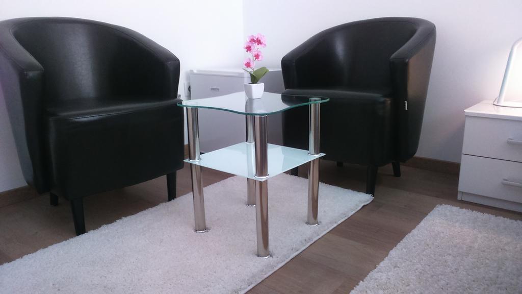 Vila Ema Apartments And Rooms Λιουμπλιάνα Εξωτερικό φωτογραφία