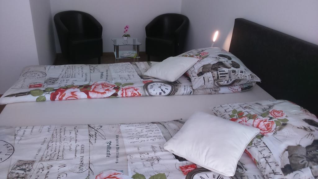 Vila Ema Apartments And Rooms Λιουμπλιάνα Εξωτερικό φωτογραφία