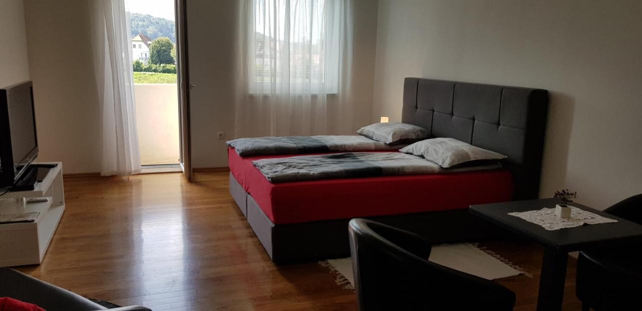 Vila Ema Apartments And Rooms Λιουμπλιάνα Εξωτερικό φωτογραφία